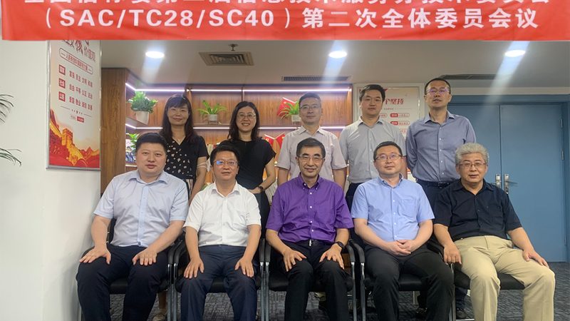 IT咨询服务规范标准常见问题解析