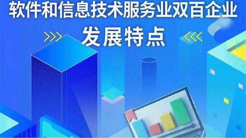 信息技术服务合同报价：揭秘背后的考量因素**